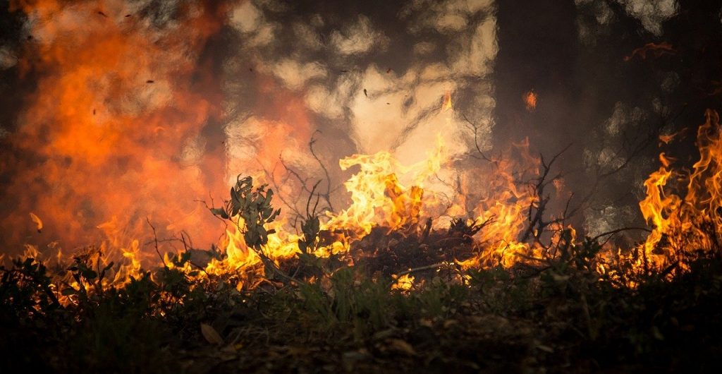Požar u Tesliću zahvatio pet dunuma šume i niskog rastinja