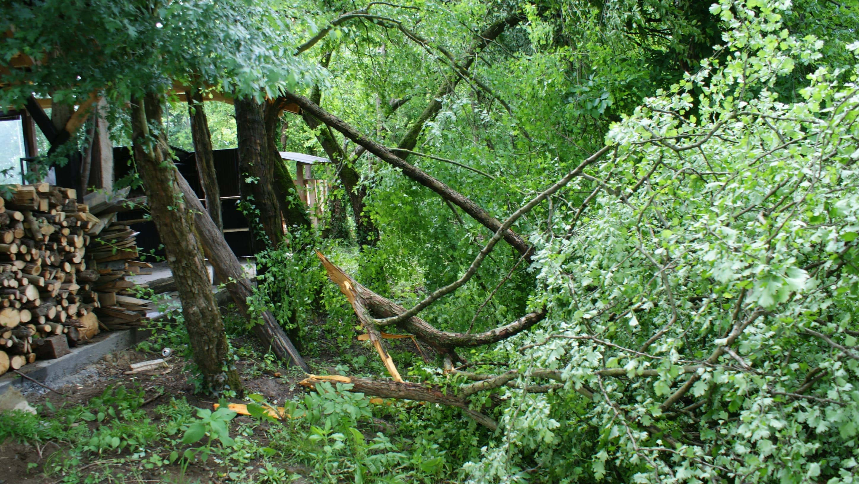 Gradiška: Tornado lomio i čupao drveća, kidao krovove (FOTO)
